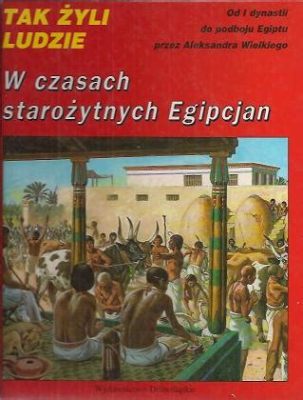 Konflikt z Hittytami; Upadek potęgi Egiptu w czasach Dziesiątej Dynastii